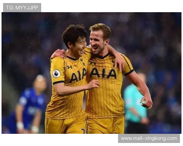 切尔西凯恩管理层决策引发队内讨论——未来走向的深度解析