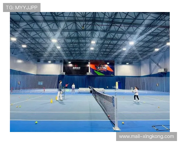 网球比赛场地类型对表现影响